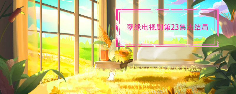 孽缘电视剧第23集大结局 孽缘电视剧大结局