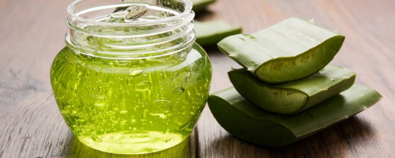 芦荟胶可以涂伤口吗 芦荟胶能不能涂伤口