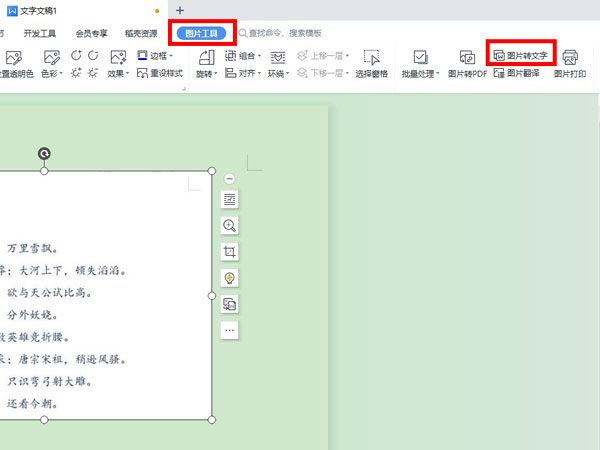 word是图片格式怎么换成文字