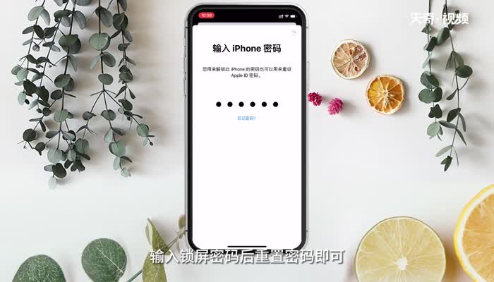 忘记appleid密码怎么办 忘记appleid密码解决办法