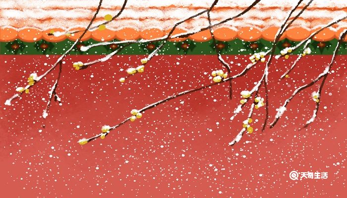 雪梅的思想感情 雪梅的中心是什么