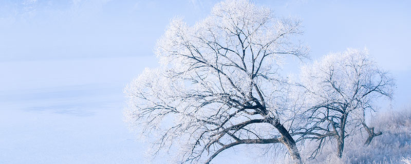 雪花是怎么形成的 雪花的形成过程