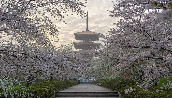 本溪市春季赏花去哪里 推荐本溪市春季赏花好去处