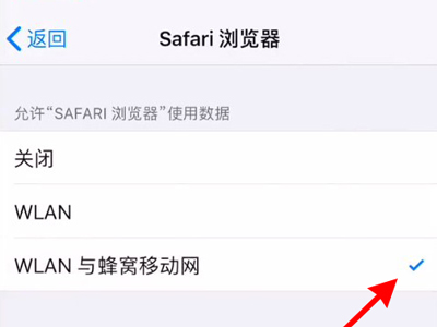 怎么打开safari浏览器网络连接