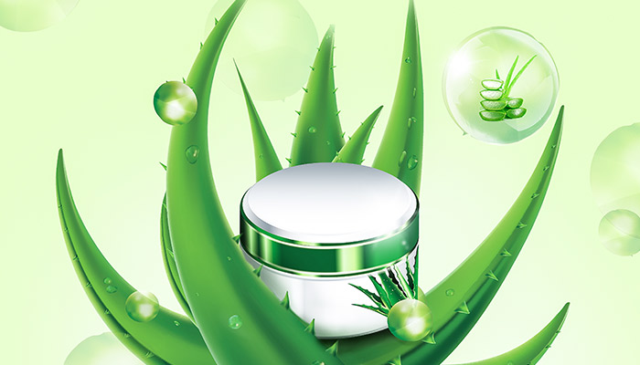 芦荟胶晚上睡觉涂了不洗可以吗 芦荟胶晚上睡觉涂了可以不洗吗 芦荟胶晚上睡觉涂了不洗可以吗 芦荟胶晚上睡觉涂了可以不洗吗