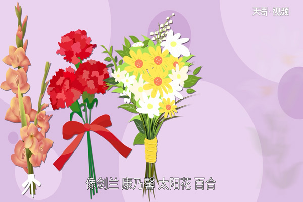 教师节送什么花