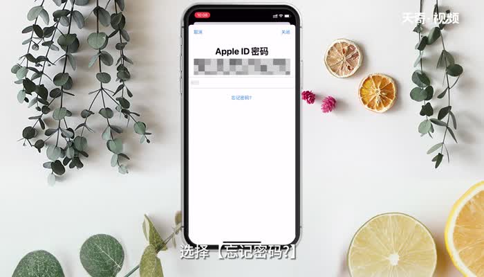 忘记appleid密码怎么办 忘记appleid密码解决办法