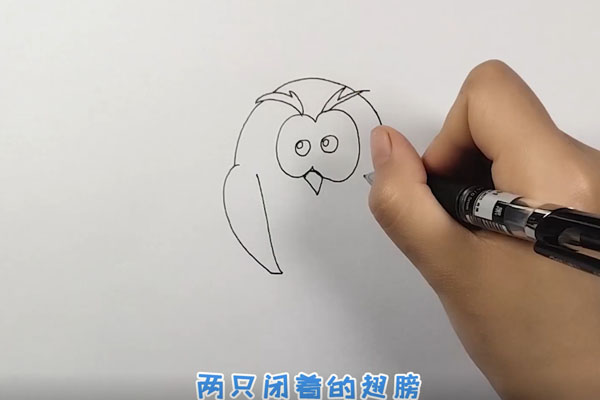 猫头鹰简笔画