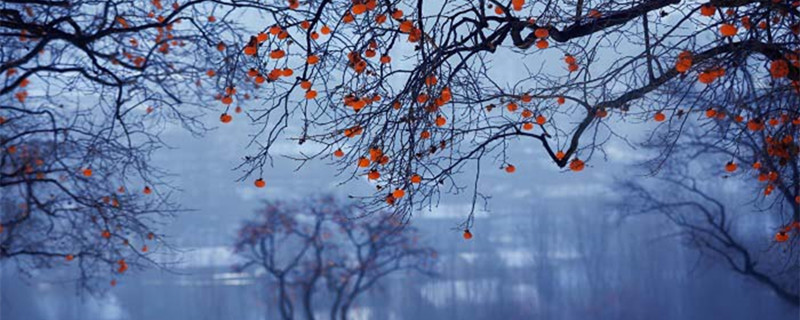 终南望余雪古诗的翻译 终南望余雪翻译赏析