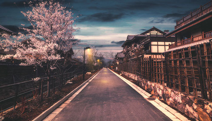 北海道樱花什么时候开 北海道樱花几月开