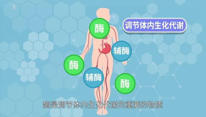 女人吃维生素e功效 女人吃维生素E的好处