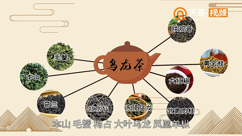 乌龙茶属于什么茶