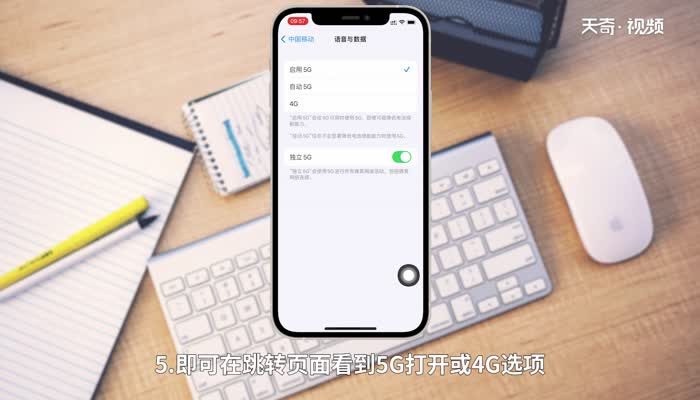 iphone 12 5g设置在哪 苹果12在哪里调5g