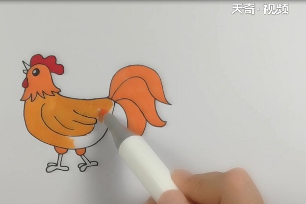 大公鸡简笔画