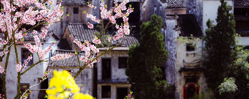 桃花潭在哪个省份 桃花潭在什么省份 