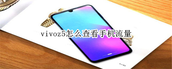 vivoz5怎么查看手机流量