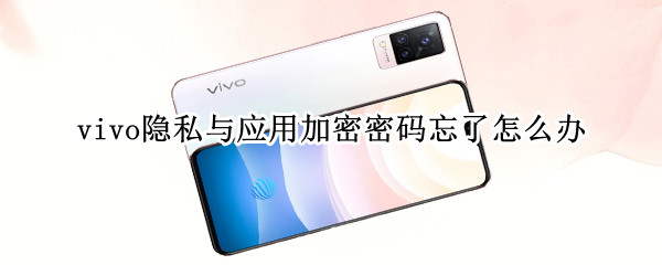 vivo隐私与应用加密密码忘了怎么办