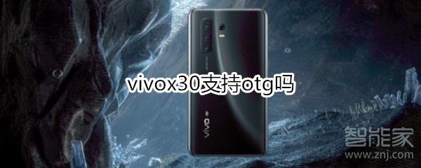 vivox30支持otg吗