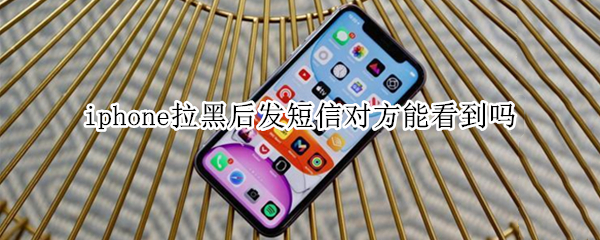 苹果手机扫一扫连接wifi是用什么扫