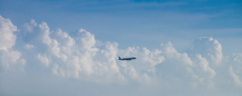 《蝙蝠和雷达》课文主要写了什么 蝙蝠和雷达的主要内容