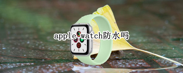 apple watch防水吗