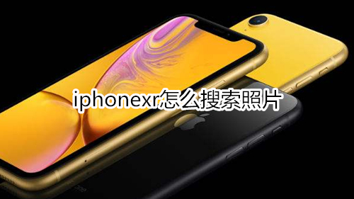 iphonexr怎么搜索照片