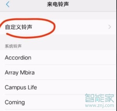 vivoy3怎么更换来电铃声