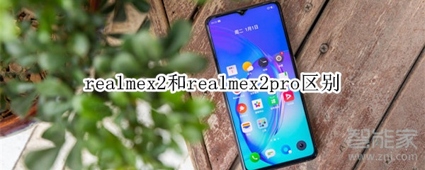 realmex2和realmex2pro区别