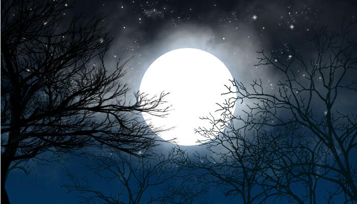 盖中秋之月临水之观独往而远人于是为备翻译 盖中秋之月临水之观独往而远人于是为备是什么意思