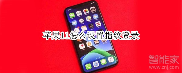 苹果11怎么设置指纹登录