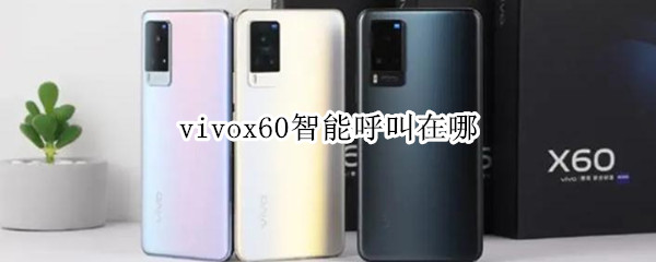vivox60智能呼叫在哪