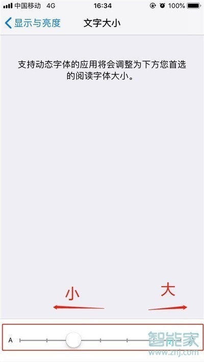 iphone11pro怎么设置字体大小