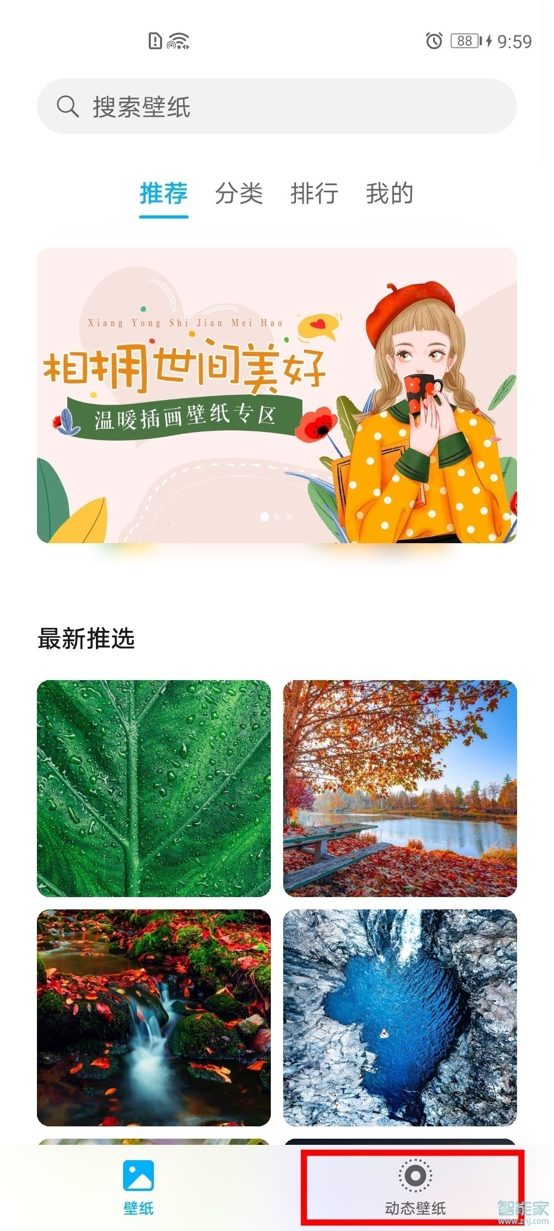 华为nova8怎么设置动态壁纸