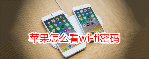 苹果怎么看wi-fi密码