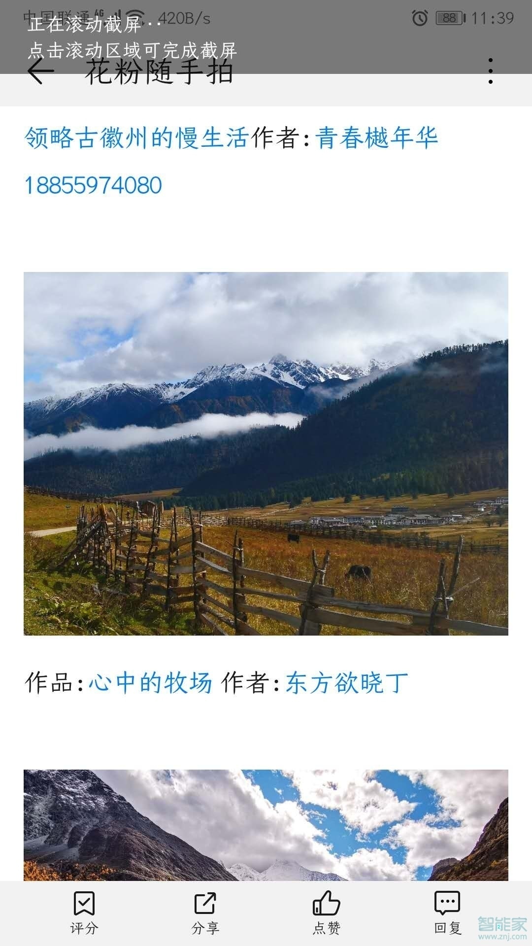 荣耀v30pro怎么长截屏