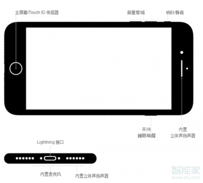 iphone7plus耳机孔在哪里