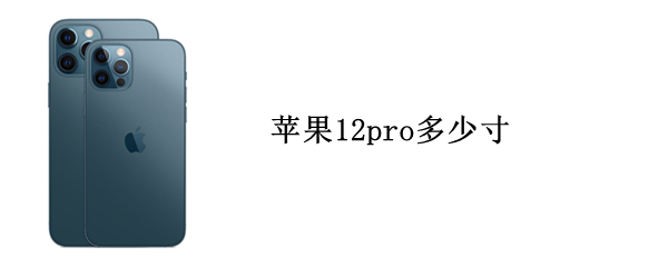 苹果12pro多少寸