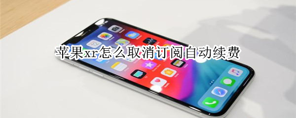 苹果xr怎么取消订阅自动续费