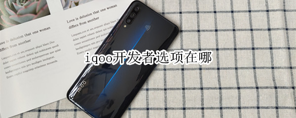 iqoo开发者选项在哪