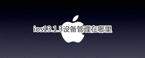 ios13.1.3设备管理在哪里