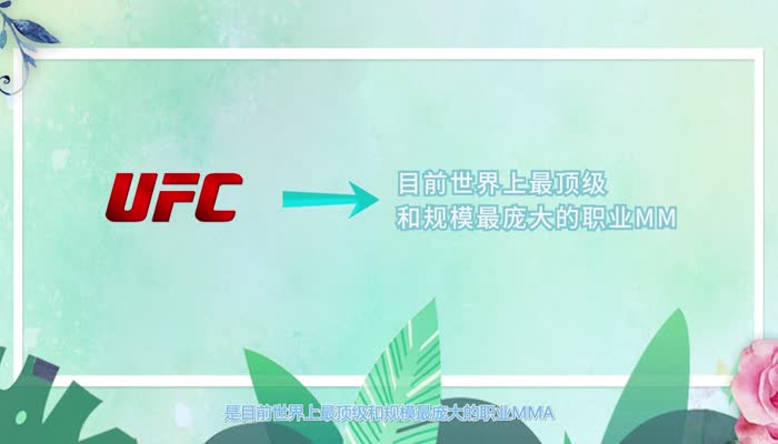 UFC是什么 mma跟UFC有什么区别