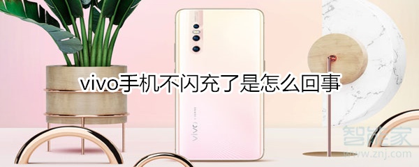 vivo手机不闪充了是怎么回事