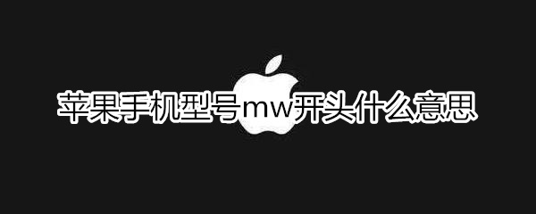 苹果手机型号mw开头什么意思