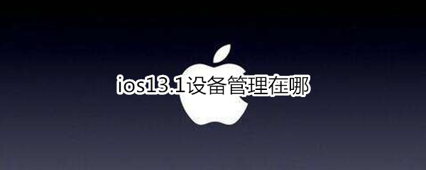 ios13.1设备管理在哪