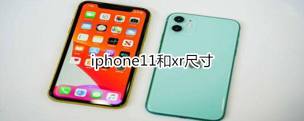 iphone11和xr尺寸