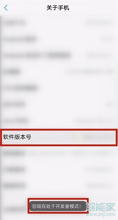 vivos7怎么打开开发者选项