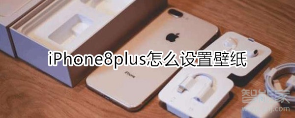 iPhone8plus怎么设置壁纸