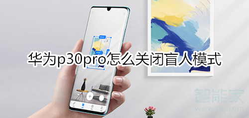 华为p30pro怎么关闭盲人模式