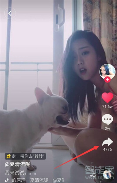 vivoz3x怎么设置抖音动态壁纸