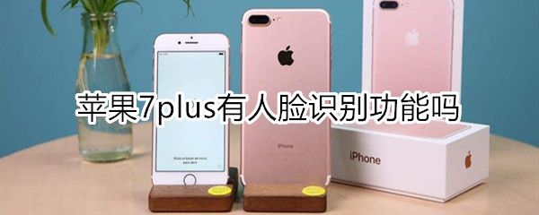 苹果7plus有人脸识别功能吗